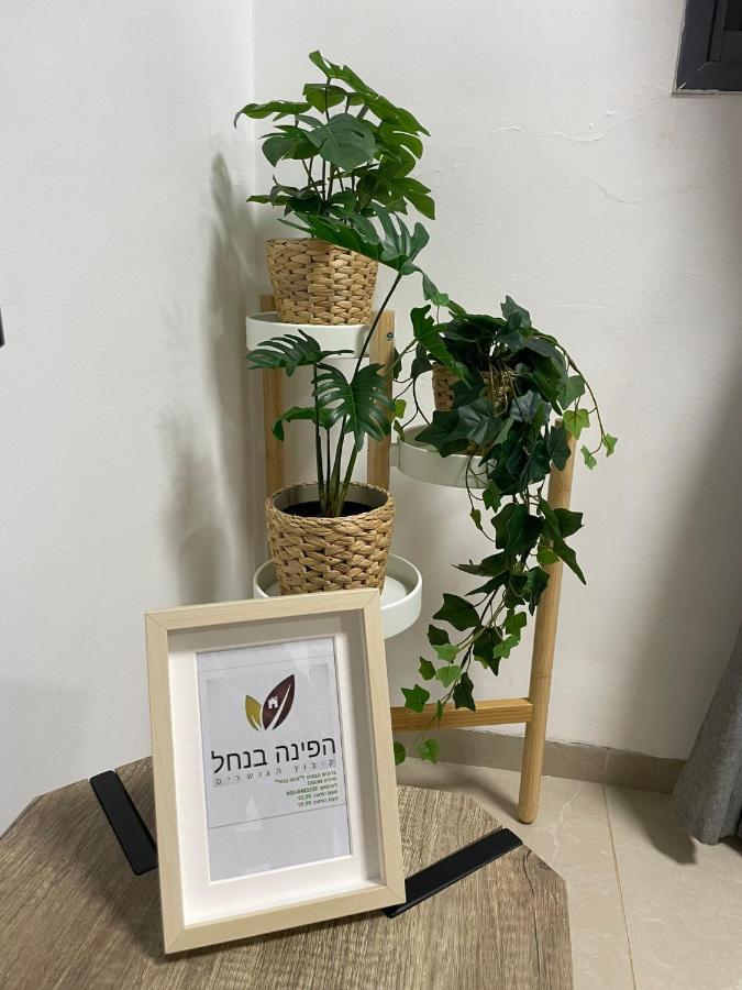 Apartmán הפינה בנחל Hagoshrim Exteriér fotografie